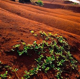《腐烂国度2》提升敌人难度更新测试中